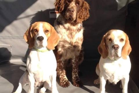 Ortensio con Patty e Olivia